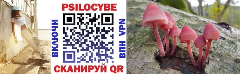 цены   Киров  Псилоцибиновые грибы Psilocybine cubensis 
